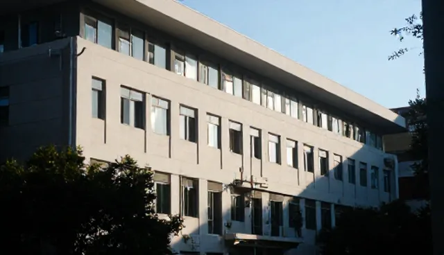 选型关注点:如何在定制企业分类服务中权衡效率与成本